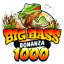 big-bass-bonanza-1000.nl favicon